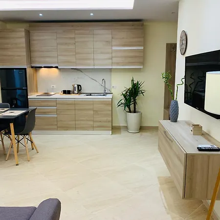 아파트 Elko Apartments & Rooms 골렘
